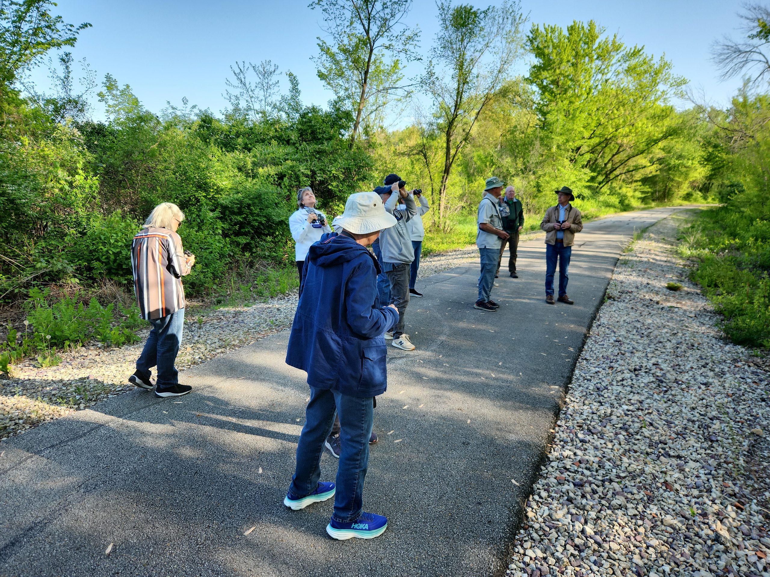 Bird Walk 2025